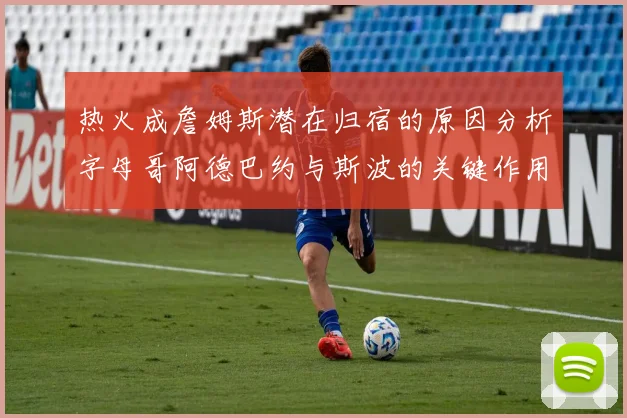 热火成詹姆斯潜在归宿的原因分析字母哥阿德巴约与斯波的关键作用