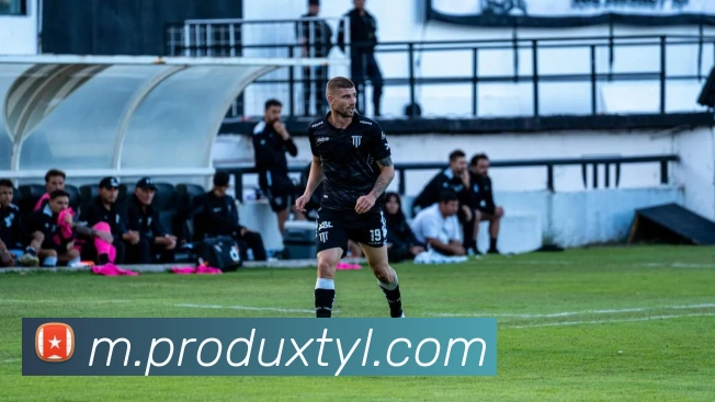 数据分析功能